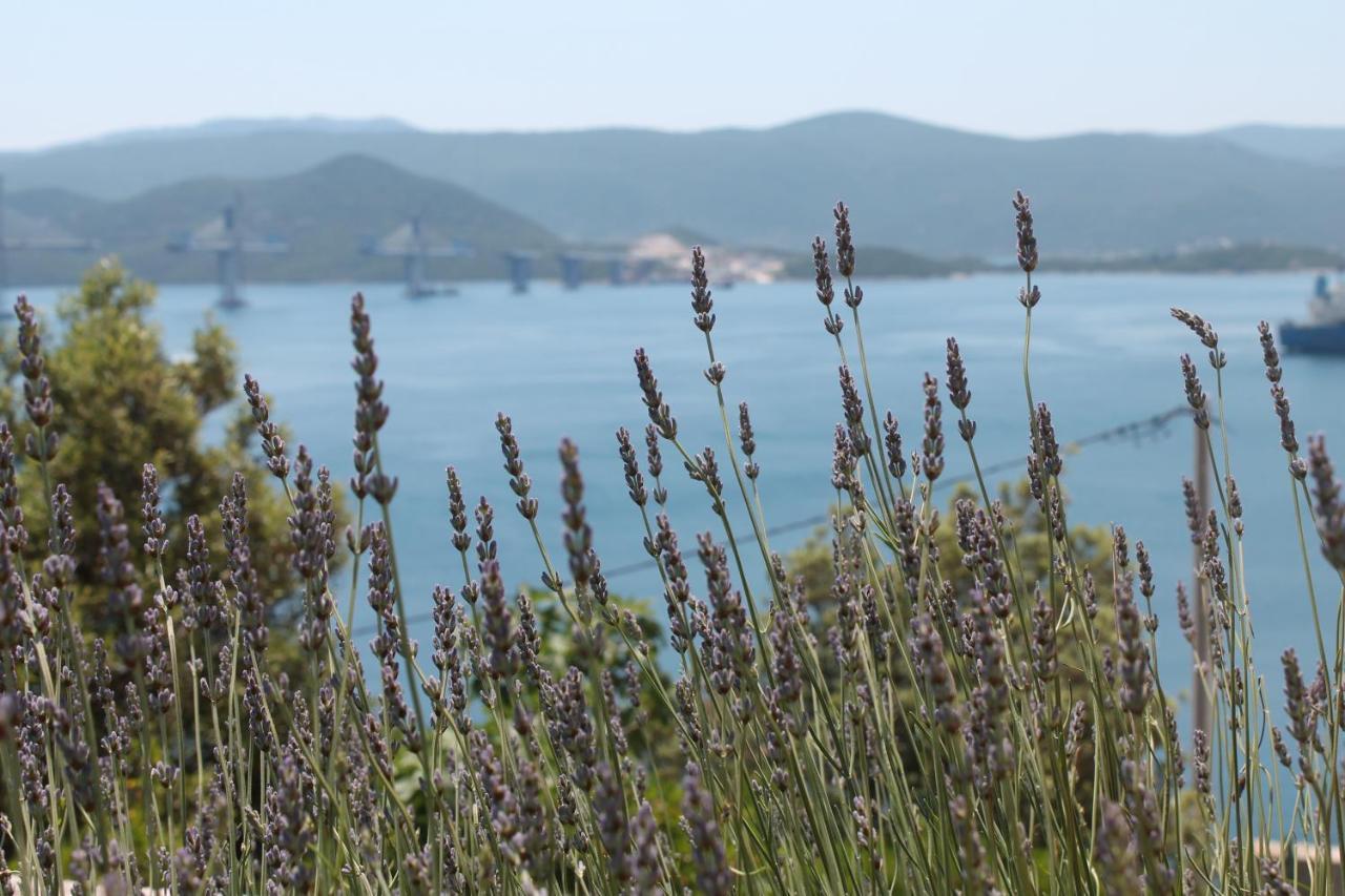 Apartmán Bella Vista Komarna Exteriér fotografie